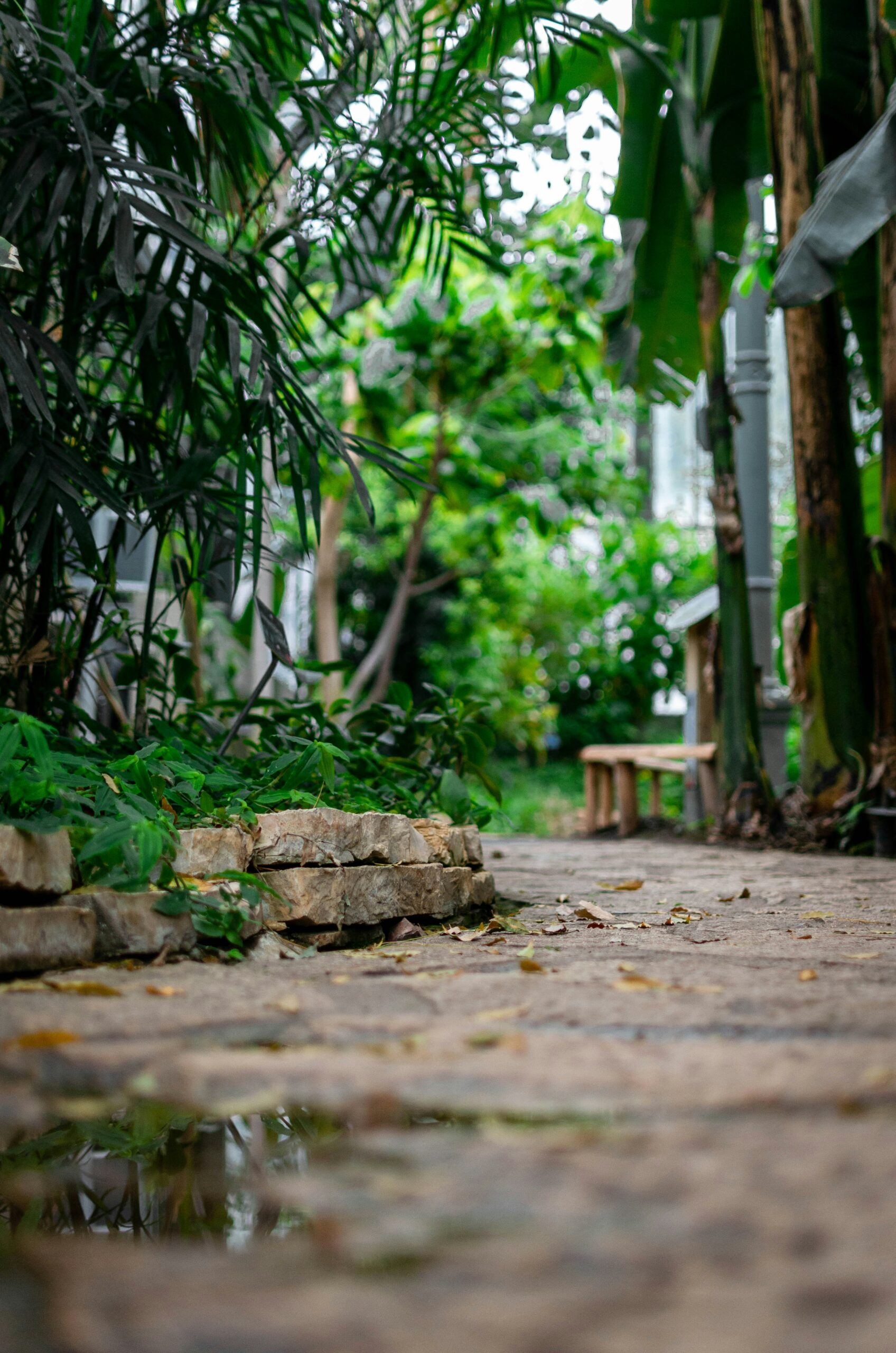 Récupérer des déchets pour créer son propre jardin