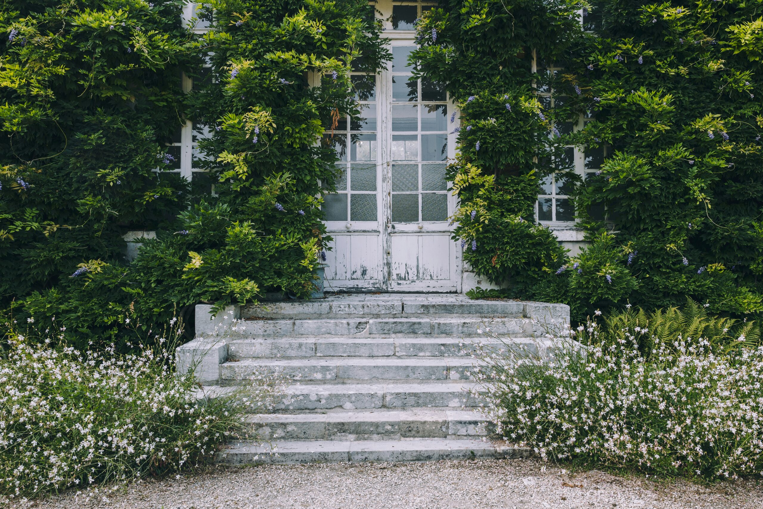 Les bienfaits d’un jardin sensoriel pour les enfants