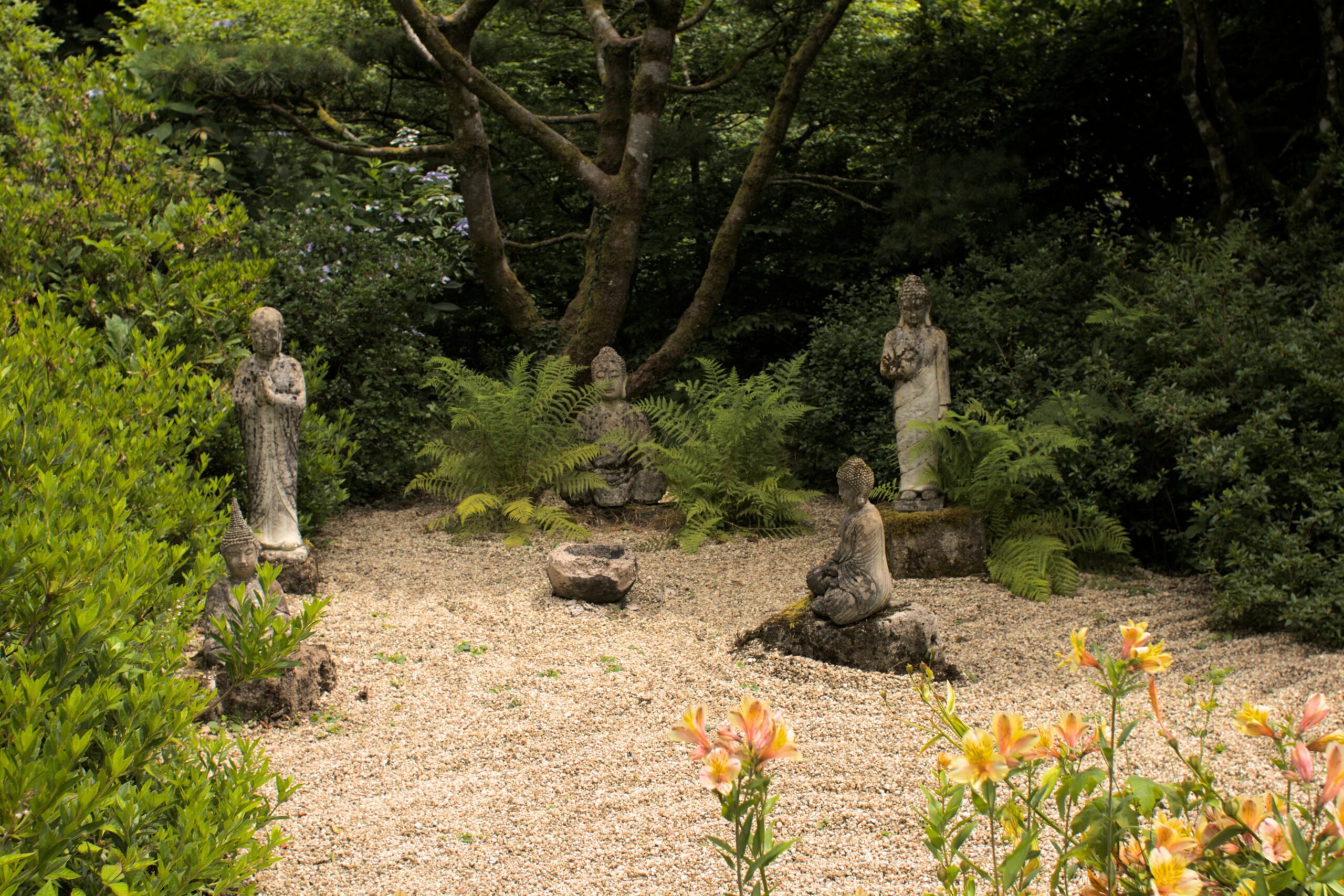 Révéler les trésors cachés des jardins partagés