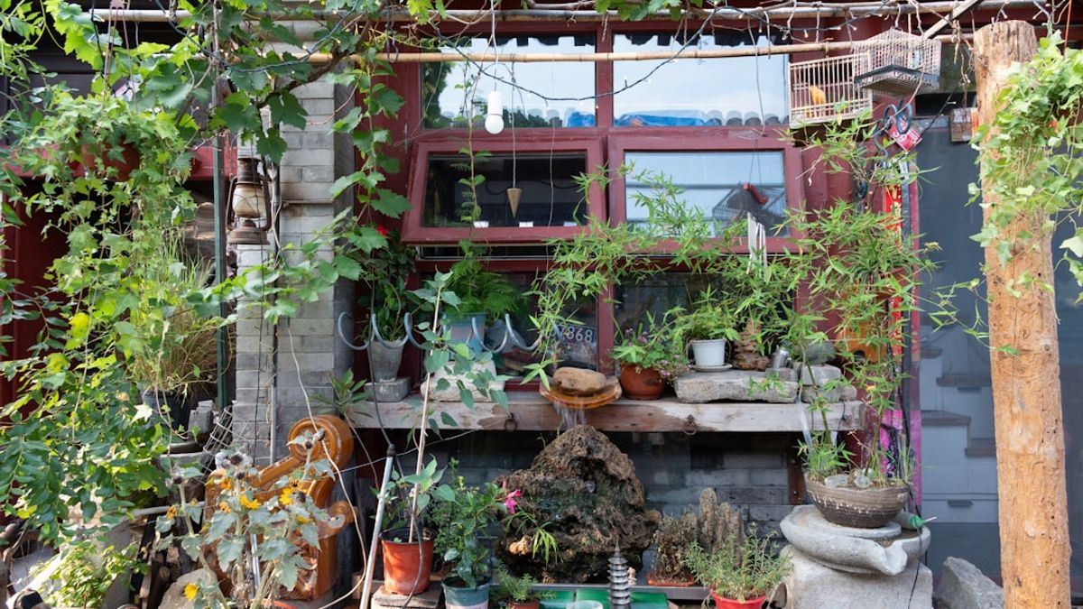 Potager de balcon urbain avec récolte abondante de légumes frais