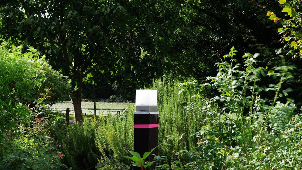 Compostage collectif nourrissant un jardin urbain – dispositif ma Biodiv