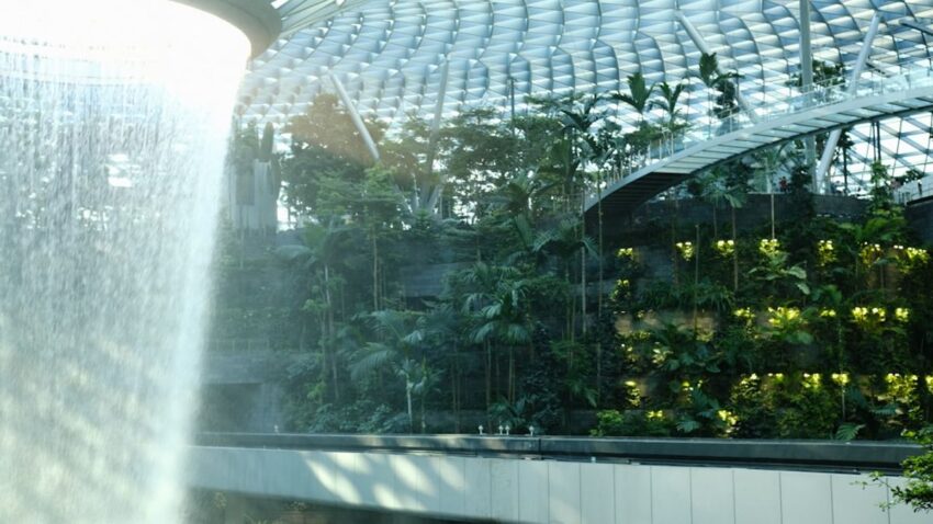 gestion eau jardin urbain - Collectivités urbaines révèlent comment la gestion