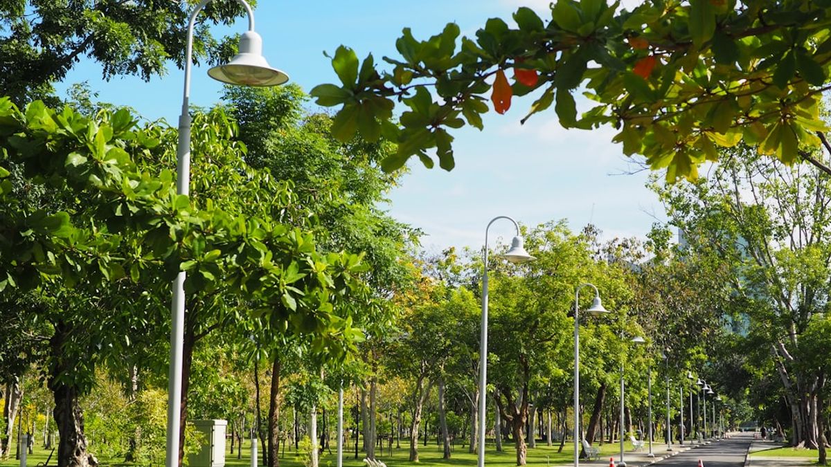 corridors écologiques urbains reliant parcs, toits végétalisés et biodiversité – végétalisation urbaine innovante