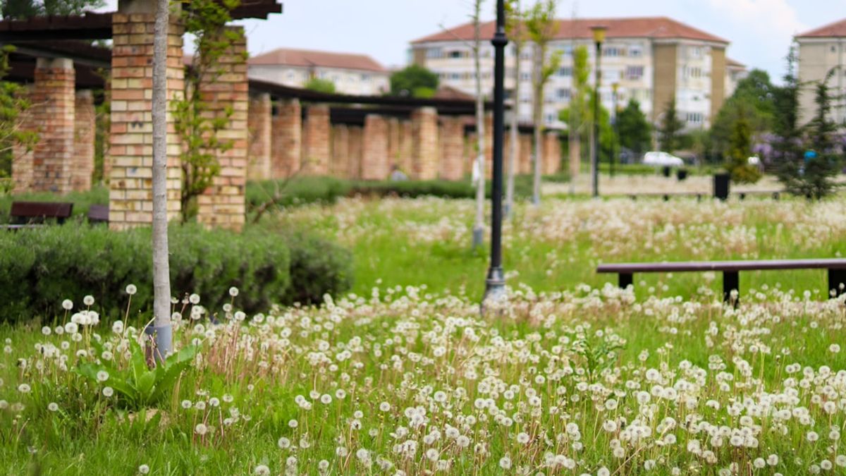 micro-forêts urbaines et murs végétalisés dans une ville moderne – végétalisation urbaine innovante