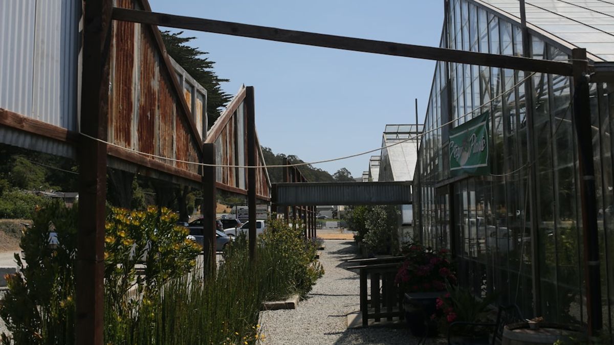 espace vert urbain, architecture industrielle et événement en plein air – cité fertile ville durable