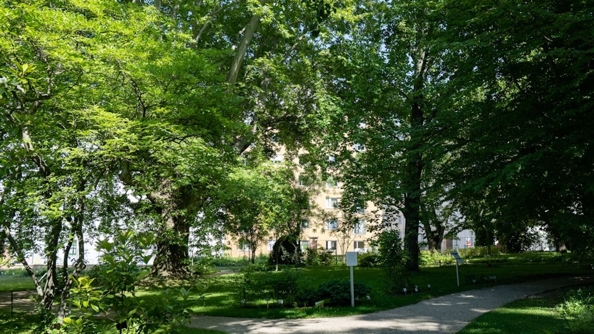 Espaces verts scolaires urbains réduisant la chaleur estivale à Saint-Médard-en-Jalles – dispositif ma Biodiv