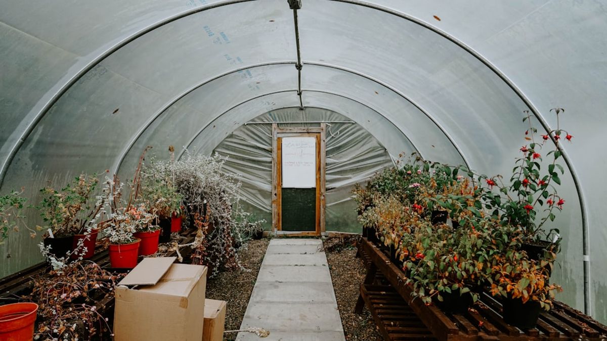 jardins partagés urbains, serres et espaces communautaires – cité fertile ville durable