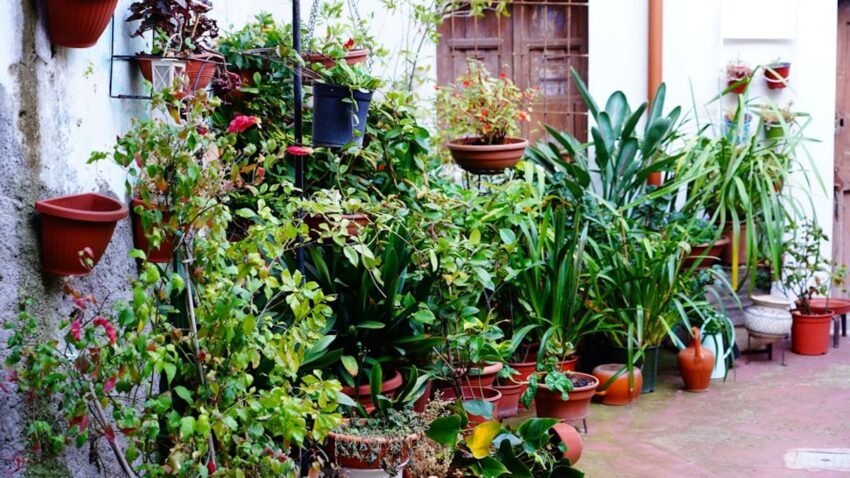 zéro artificialisation nette - Zéro artificialisation nette : la loi bouleverse l