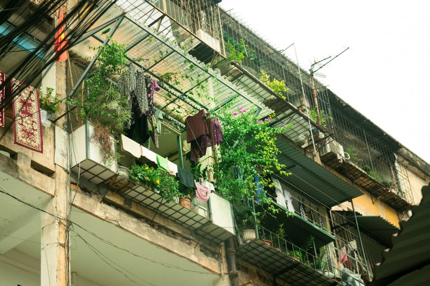 A small north-facing apartment balcony in soft diffused light filled with terracotta pots of hostas, ferns, ivy and a wooden bench, with the brick wall of an opposite building visible beyond the balcony rail.