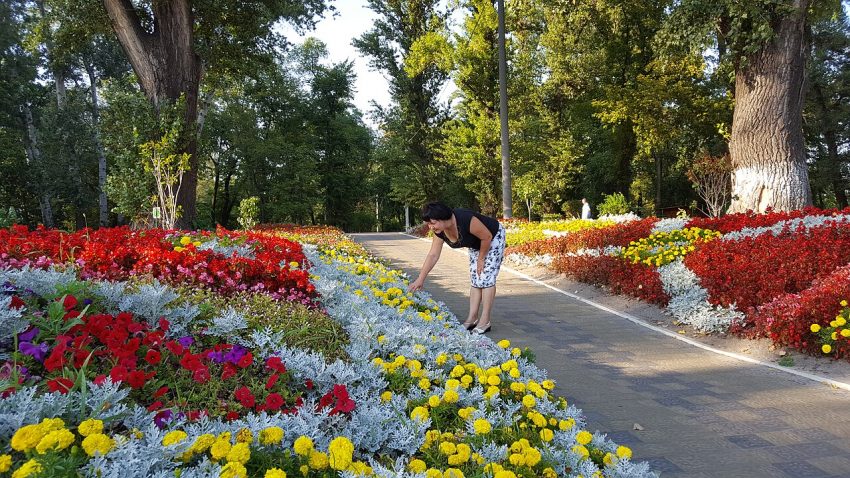 flower garden (foto: Sladkiynoyabr / CC BY-SA 4.0, Wikimedia Commons)