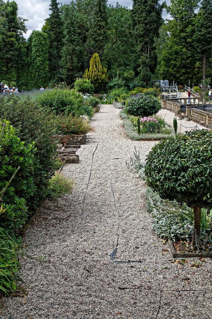 garden path flowers (foto: Acabashi / CC BY-SA 4.0, Wikimedia Commons)