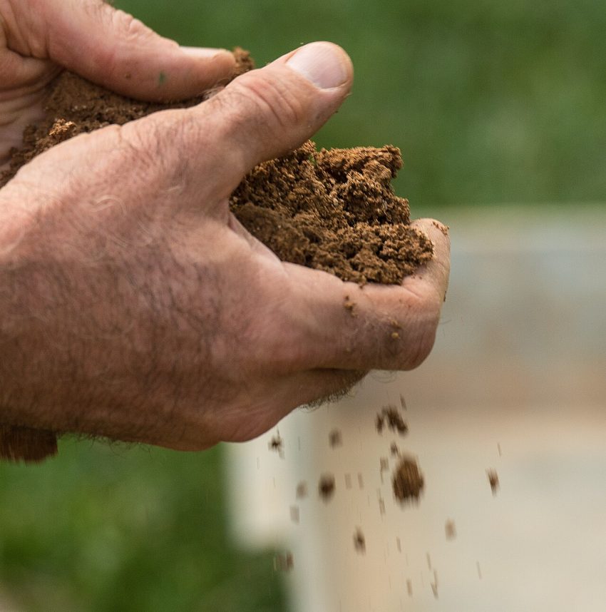 garden soil hands (foto: U.S. Department of Agriculture

Lance Cheung/Photojournalist/USDA/Lance Cheung / Public domain, Wikimedia Commons)