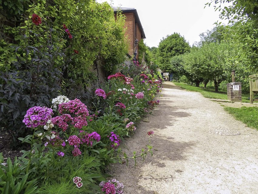 garden path flowers (foto: Steve Daniels / CC BY-SA 2.0, Wikimedia Commons)