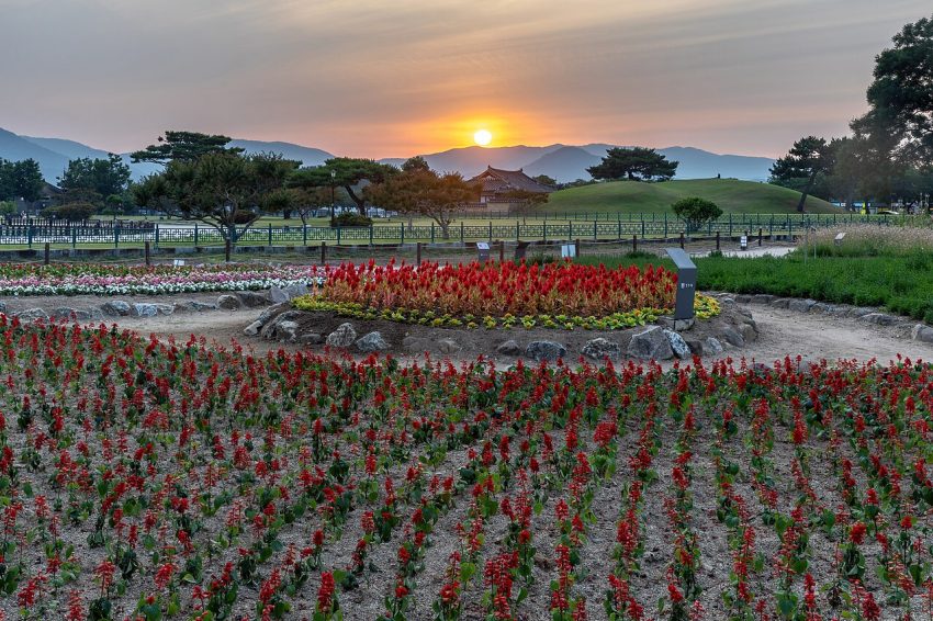 flower garden (foto: Basile Morin / CC BY-SA 4.0, Wikimedia Commons)
