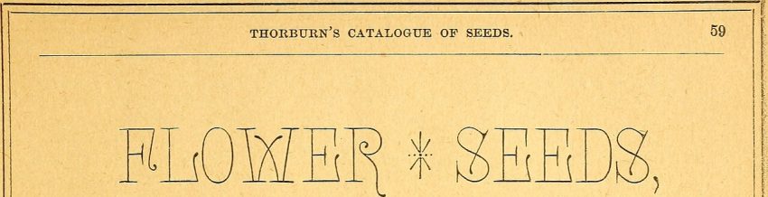 garden soil hands (foto: Internet Archive Book Images / No restrictions, Wikimedia Commons)