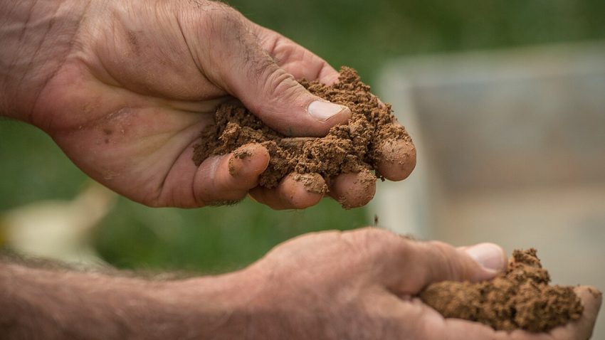 garden soil hands (foto: U.S. Department of Agriculture

Lance Cheung/Photojournalist/USDA/Lance Cheung / Public domain, Wikimedia Commons)
