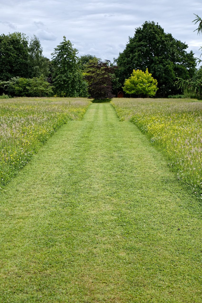 garden path flowers (foto: Acabashi / CC BY-SA 4.0, Wikimedia Commons)