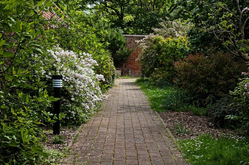 garden path flowers (foto: Acabashi / CC BY-SA 4.0, Wikimedia Commons)