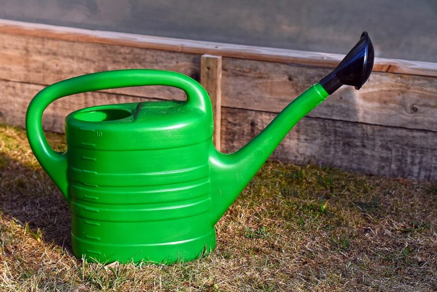 watering can garden (foto: Tool Dude8mm / CC BY 2.0, Wikimedia Commons)