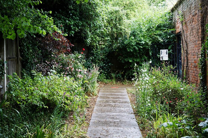 garden path flowers (foto: Acabashi / CC BY-SA 4.0, Wikimedia Commons)