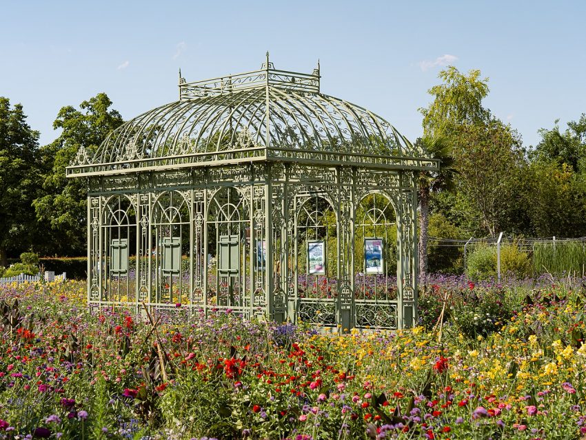 flower garden (foto: Aciarium / CC BY 4.0, Wikimedia Commons)