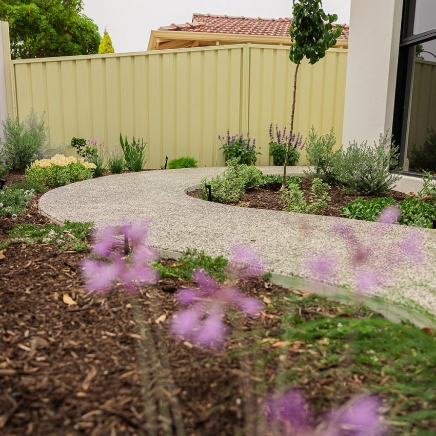 garden path flowers (foto: Perth Landscape Guys / CC BY 4.0, Wikimedia Commons)
