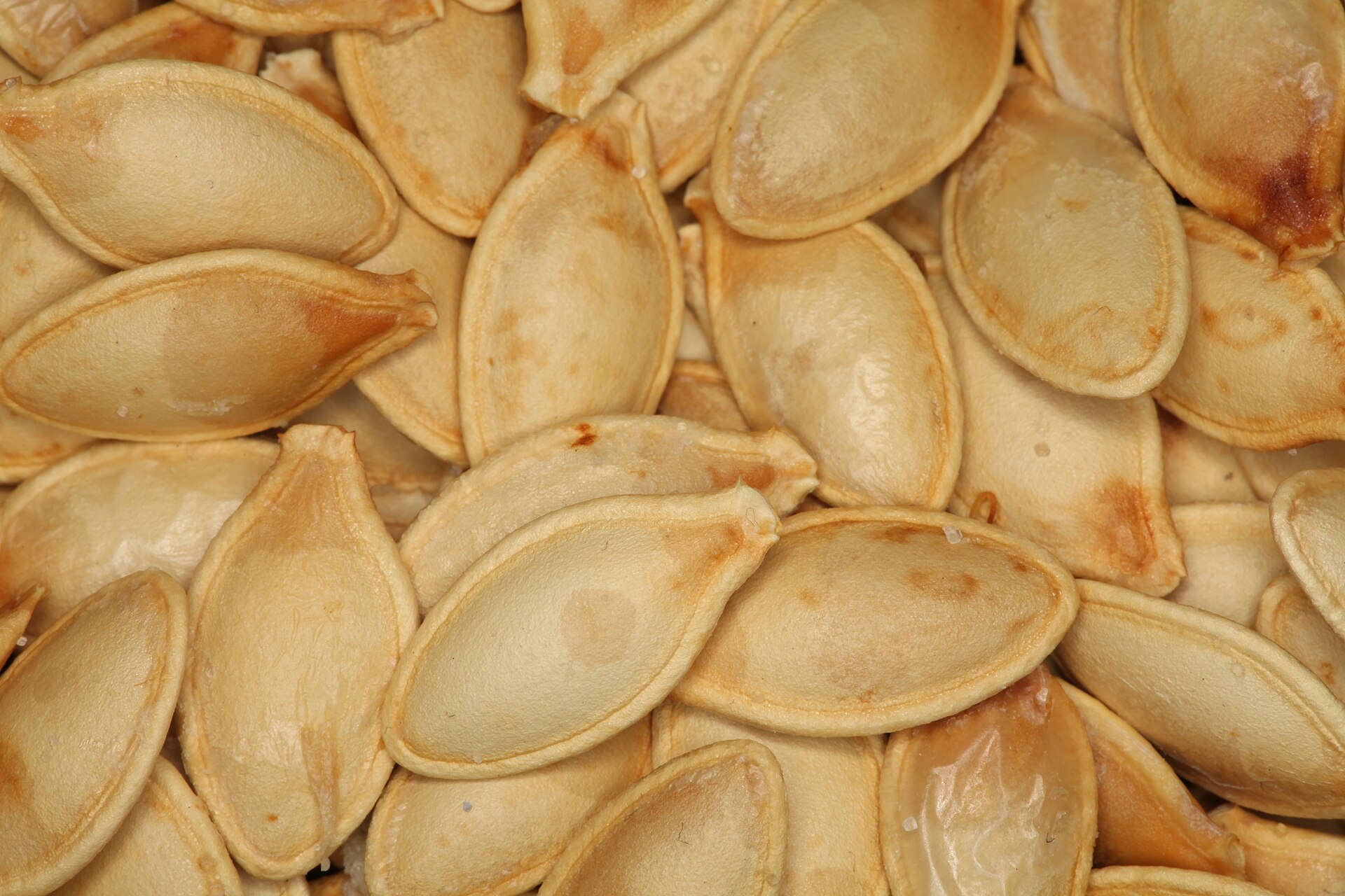 pumpkin seeds bowl