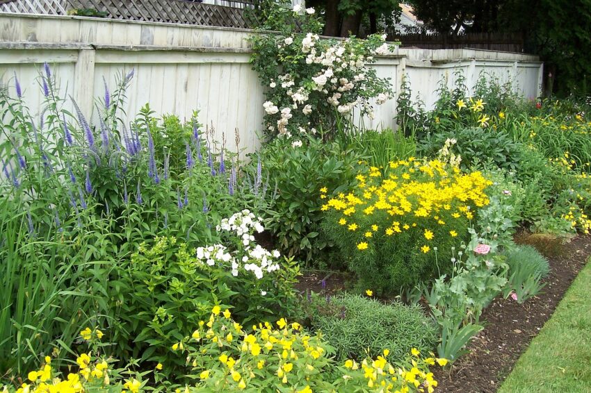 perennial flower border