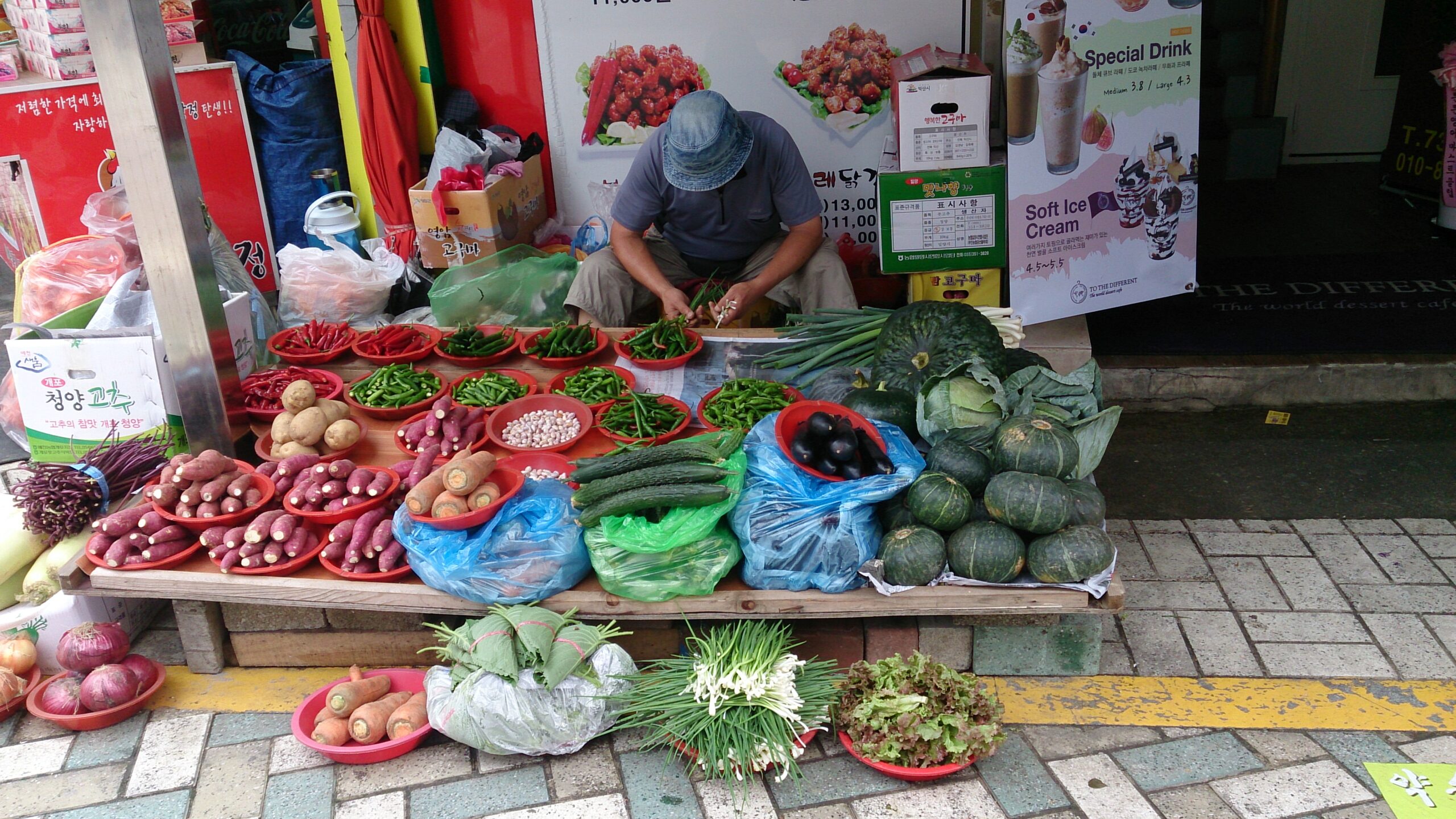 Étal de marché couvert de légumes racines et de choux disposés en cageots de bois