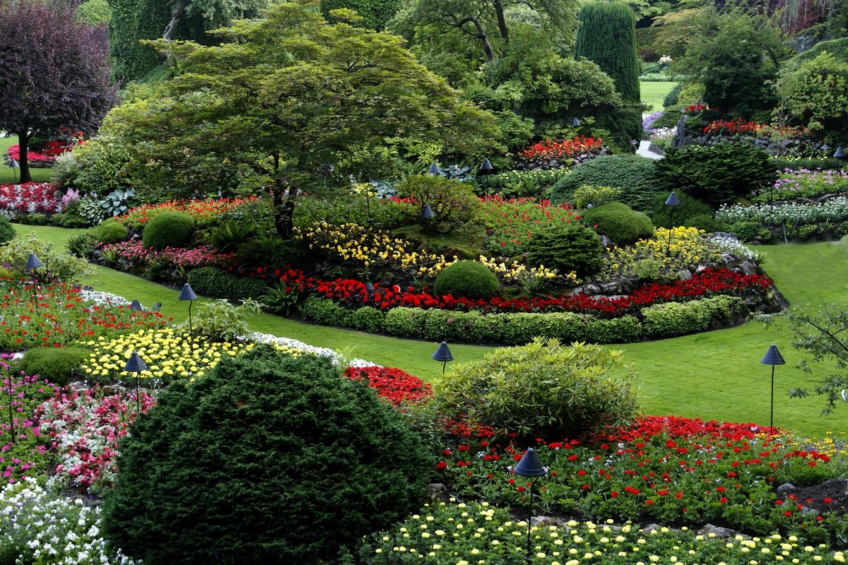 Aménagement paysager: Créer un jardin de rêve