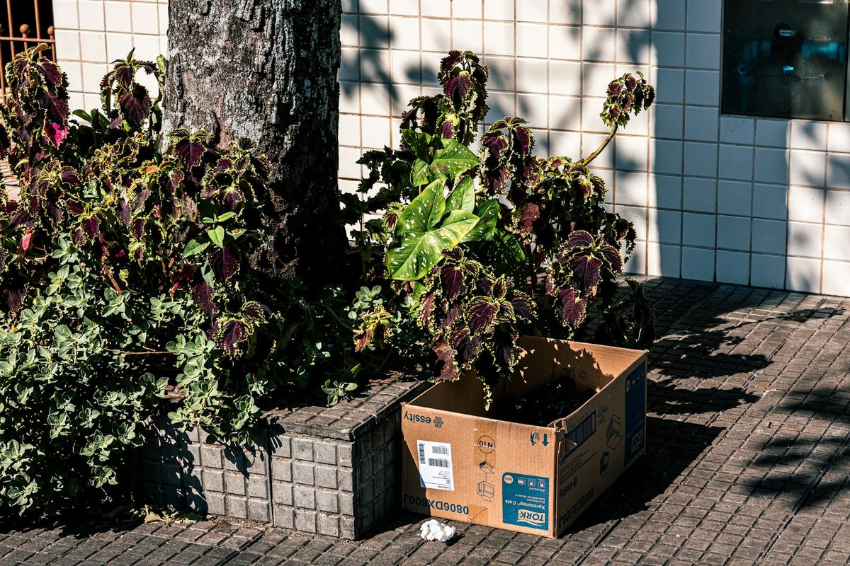 Choisir les bonnes jardinières pour vos plantes d’extérieur
