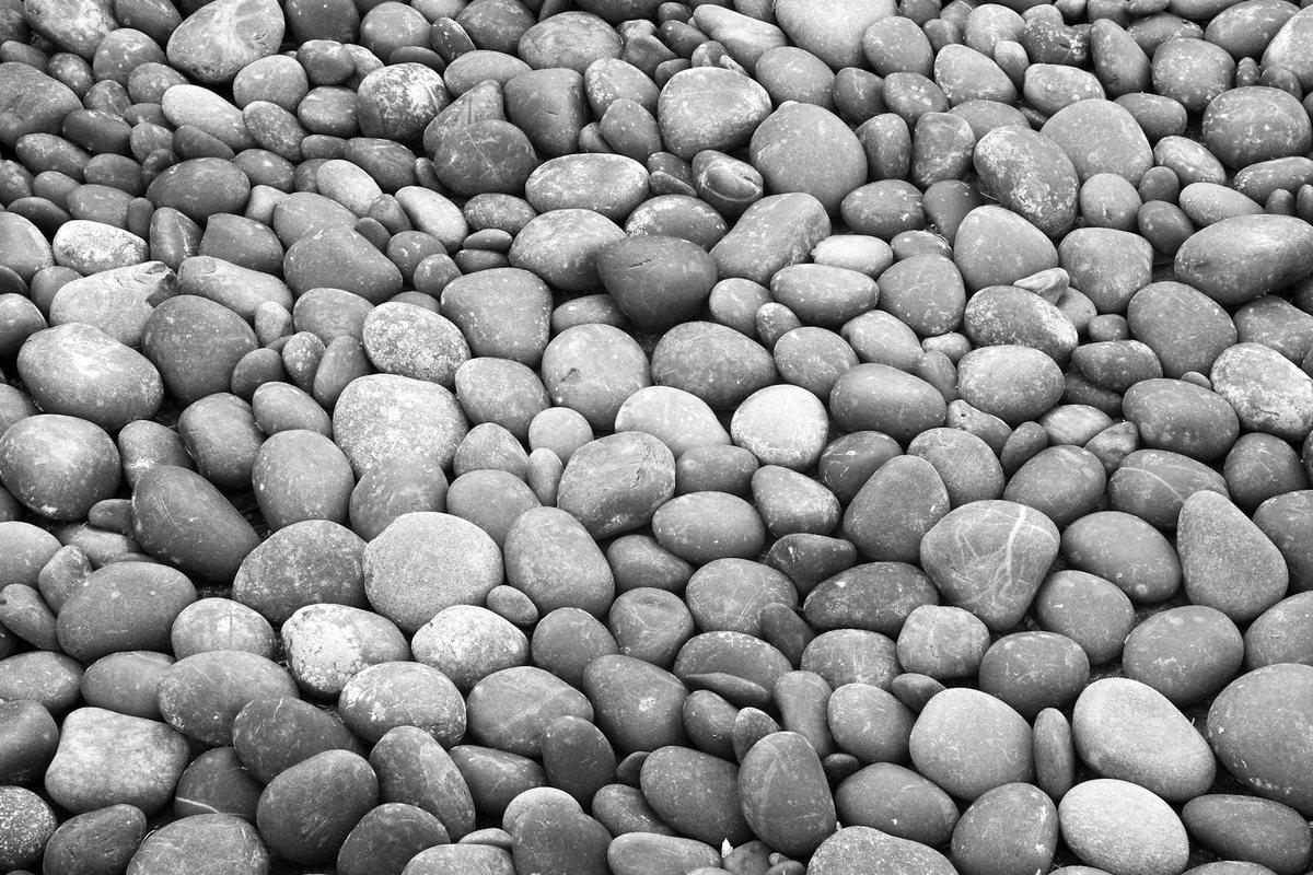 Comment créer un jardin zen en pleine ville