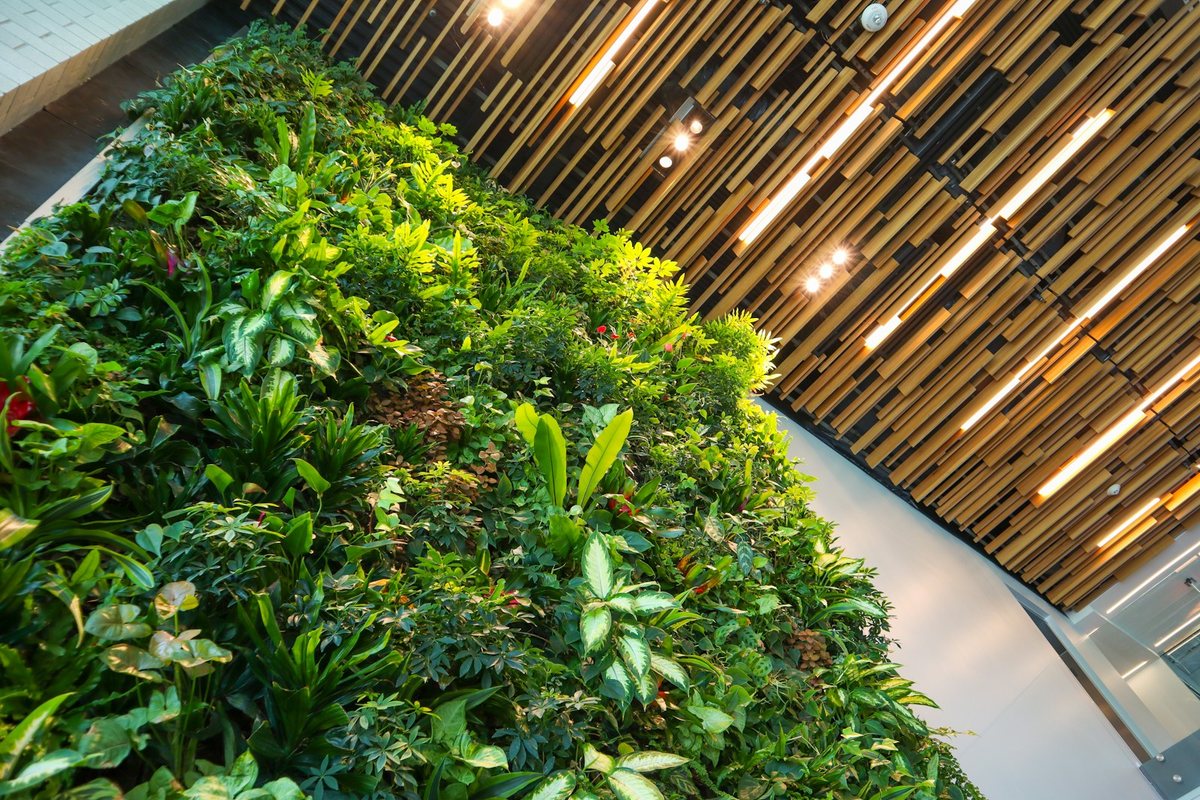 Créer un jardin vertical dans un petit espace urbain