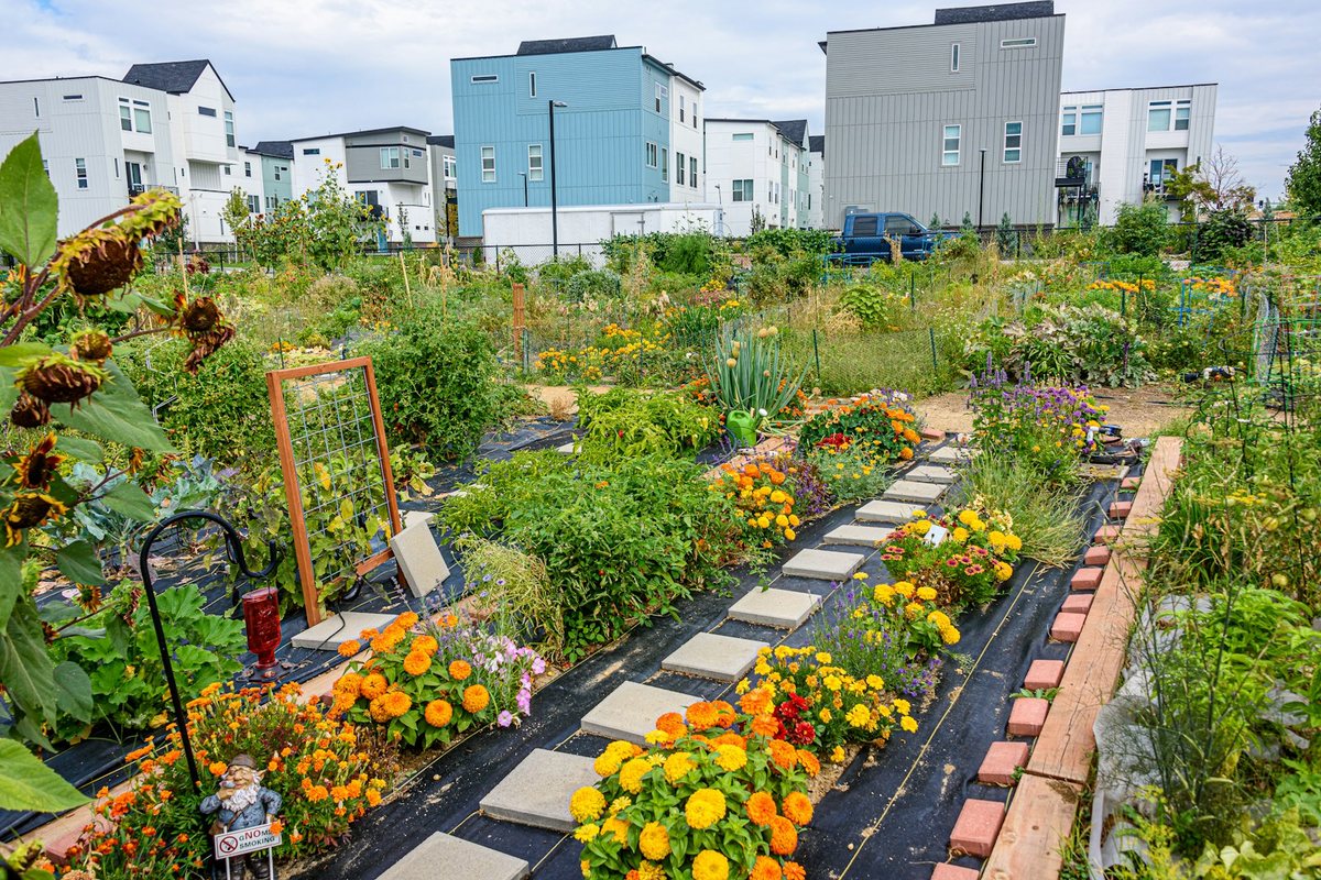 Explorer les jardins communautaires de votre quartier