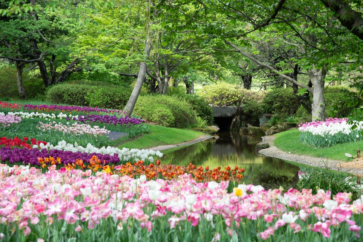 Les astuces pour un jardin fleuri tout au long de l’année