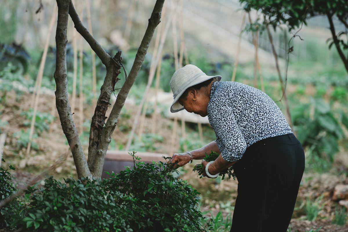 Les bienfaits du jardinage pour les seniors en ville