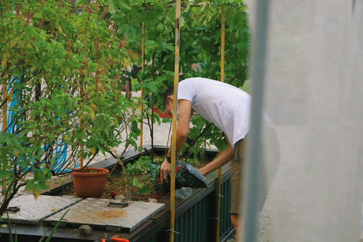 Les défis et joies du jardinage en milieu urbain