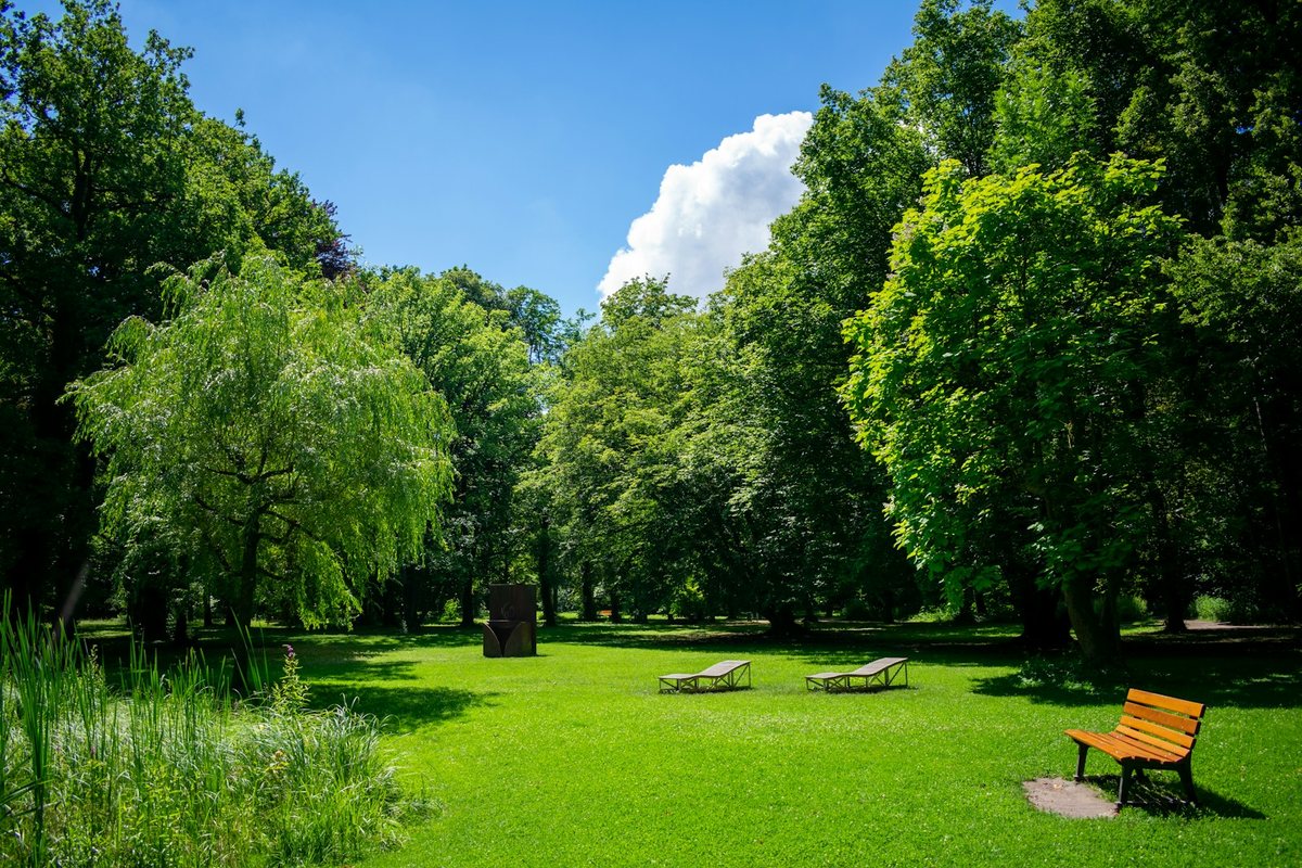 Les jardins de ville comme solution à la pollution