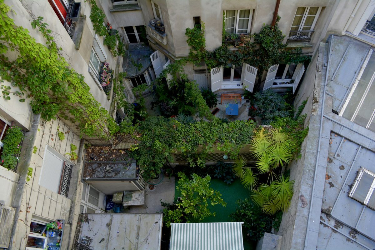 Les secrets des jardins de toit à Paris