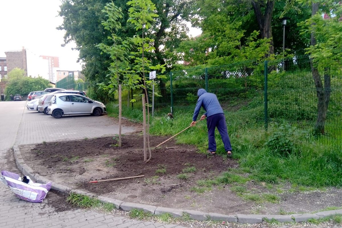 Permaculture Urbaine : Principes, Techniques et Premiers Pas