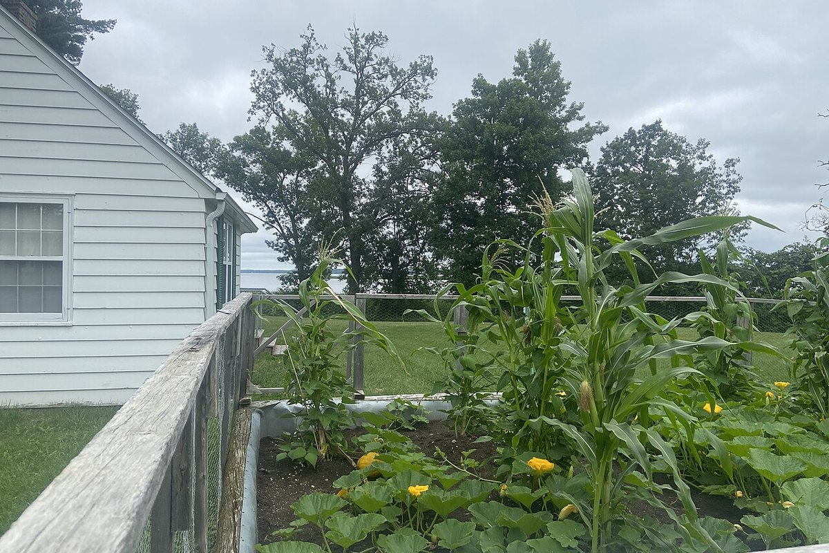 Polyculture Pairings: What the Three Sisters Got Right