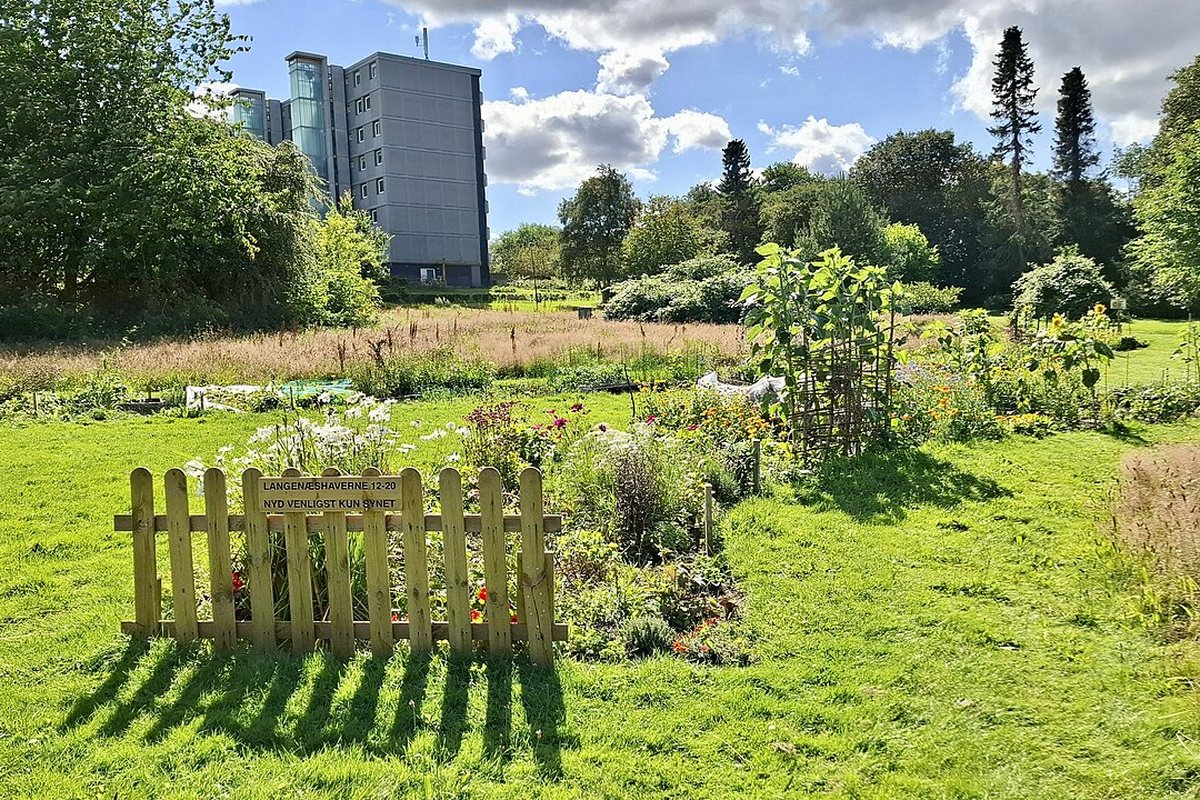 Potager urbain: Cultiver en ville