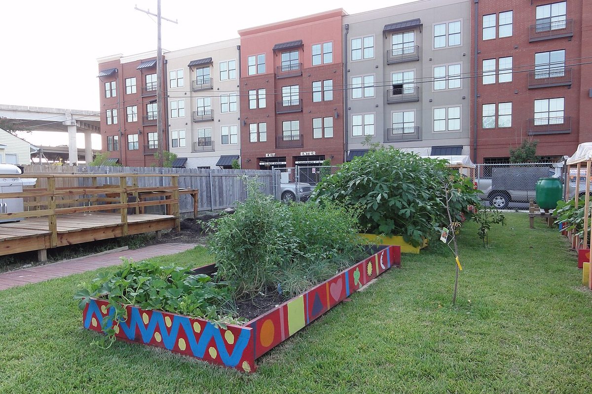 How to Build a Raised Bed Garden: Complete Step-by-Step Guide