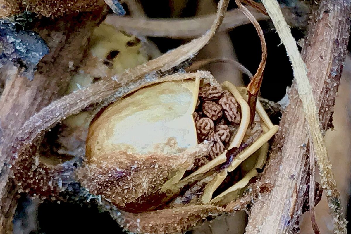 Récupérer des déchets pour créer son propre jardin