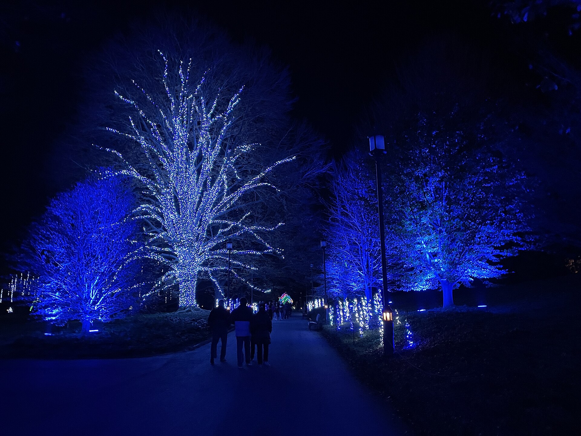 Petites bornes lumineuses éclairant une allée de jardin dans l'obscurité du soir