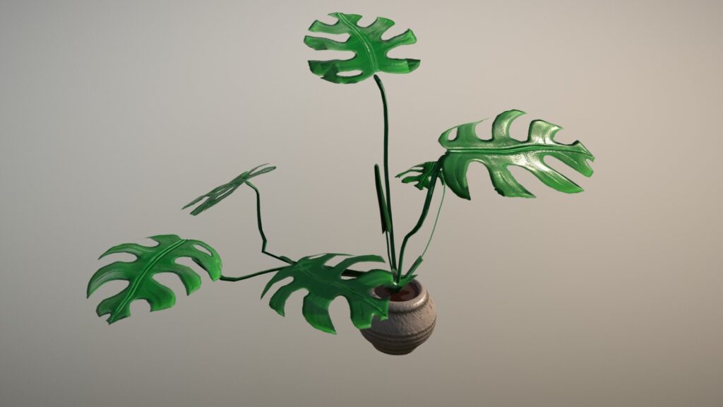 Monstera en pot placé tout près d'une fenêtre, feuilles découpées tournées vers la lumière
