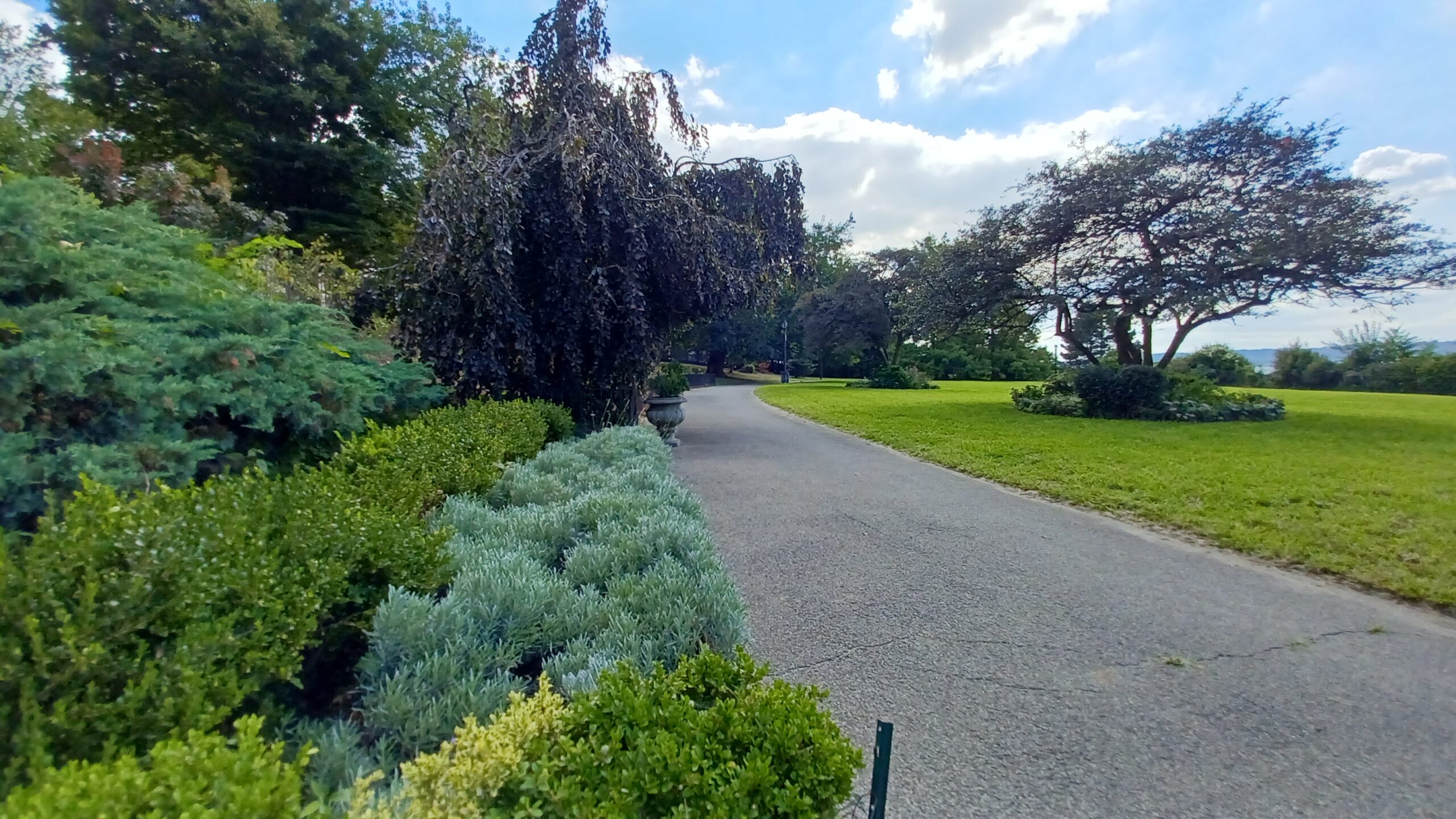 Passage étroit bordé de deux murs, sol en gravier clair et plantes basses le long d'un côté