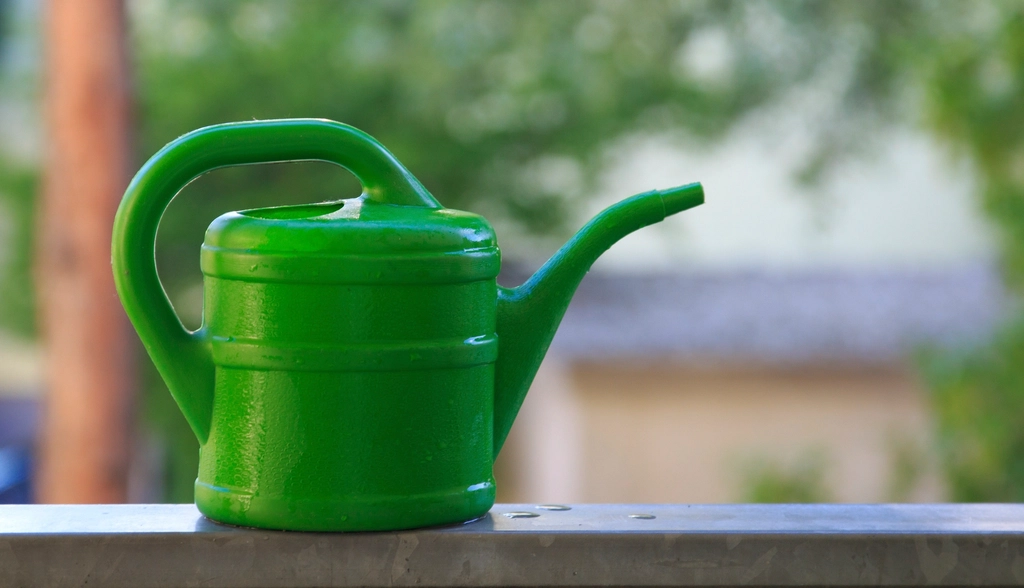 Arrosoir métallique versant lentement de l'eau au pied d'une plante en pot